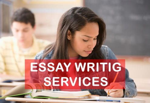 essay writer services