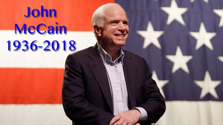 john mccain term paper