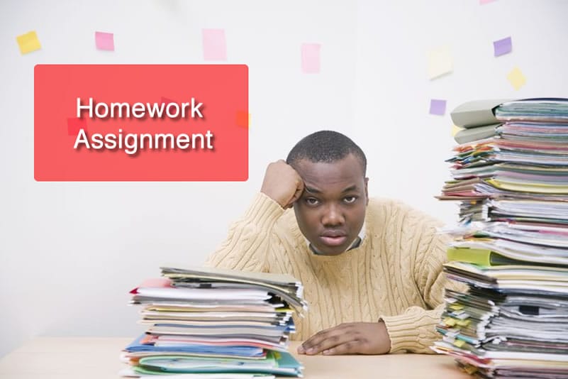 assignment writing assistance